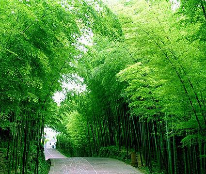 万里镇 万里镇