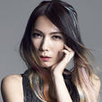 陈惠婷 陈惠婷