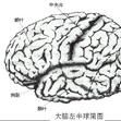 脑疲劳综合症 脑疲劳综合症