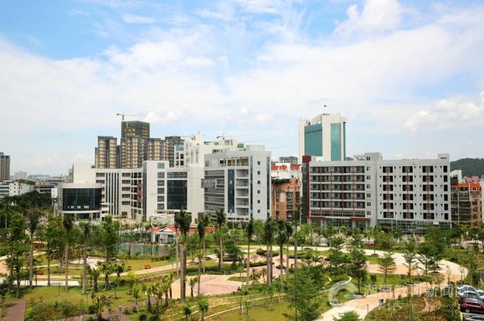 罗切斯特市