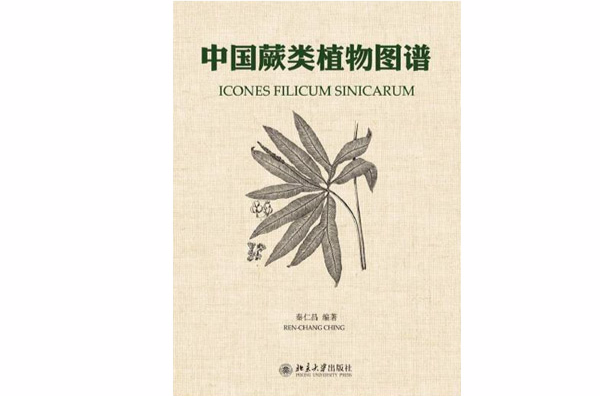 中国蕨类植物图谱 中国蕨类植物图谱