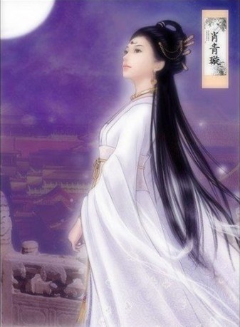 极品家丁