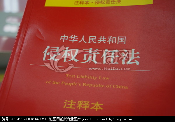 中华人民共和国侵权责任法例解与法律适用丛书 中华人民共和国侵权责任法例解与法律适用丛书