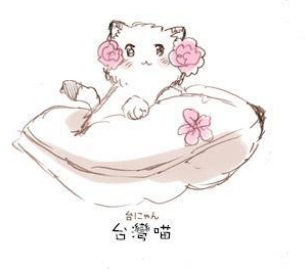 湾娘