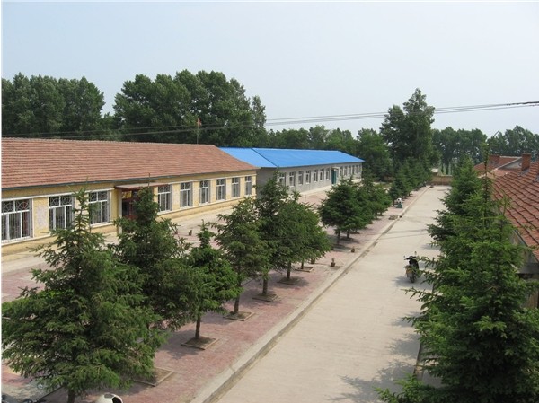 龙嘉镇中心学校