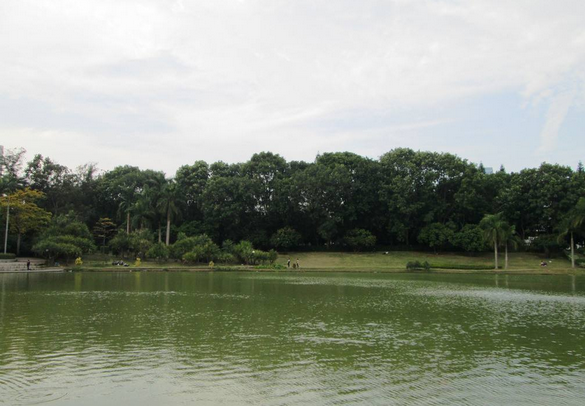 东星国小