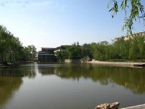 西沽公园 西沽公园