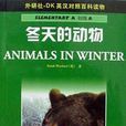 冬天的动物