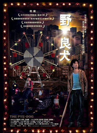 关宝慧