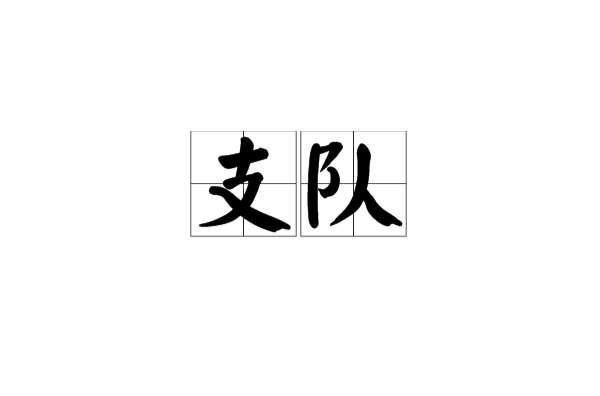 支队