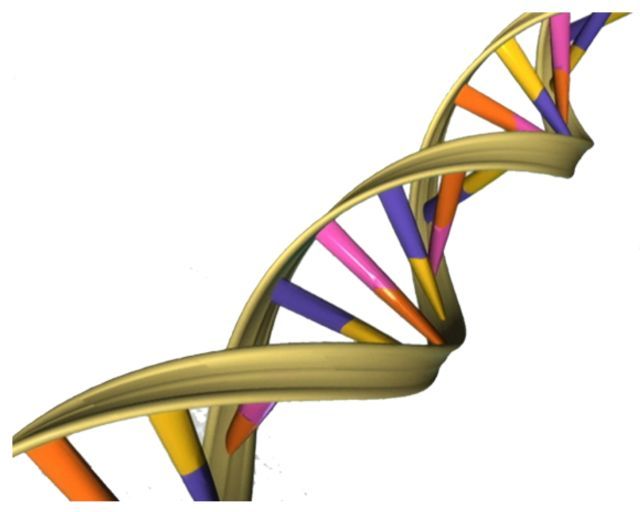 生物武器(用生物杀死有生力量和毁坏植物的武器) 生物武器(用生物杀死有生力量和毁坏植物的武器)