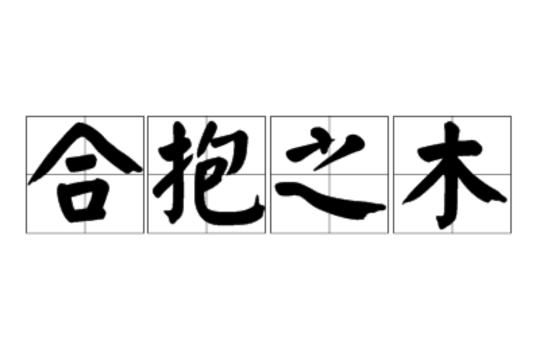 合抱之木