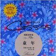 读经典名着:童年 读经典名着:童年