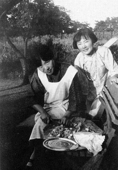 冰心(左)与林徽因(右) 冰心(左)与林徽因(右)