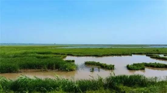 余干鄱阳湖环境