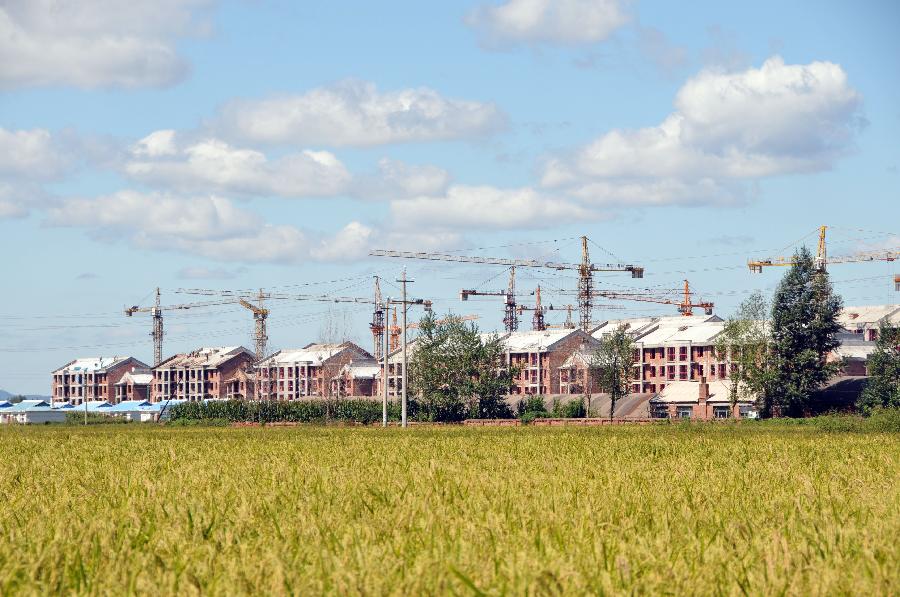 荒地村(云南省建水县西庄镇下辖村)