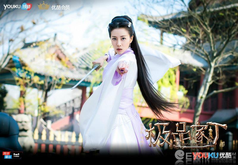 极品家丁(2017年电影) 极品家丁(2017年电影)