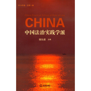 中国法治实践学派