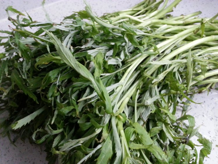 余干鄱阳湖藜蒿