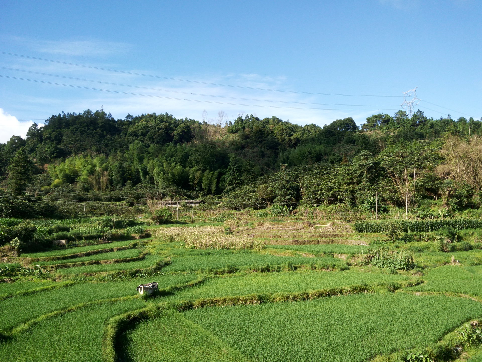 大贤村(莆田市涵江区新县镇大贤村) 大贤村(莆田市涵江区新县镇大贤村)