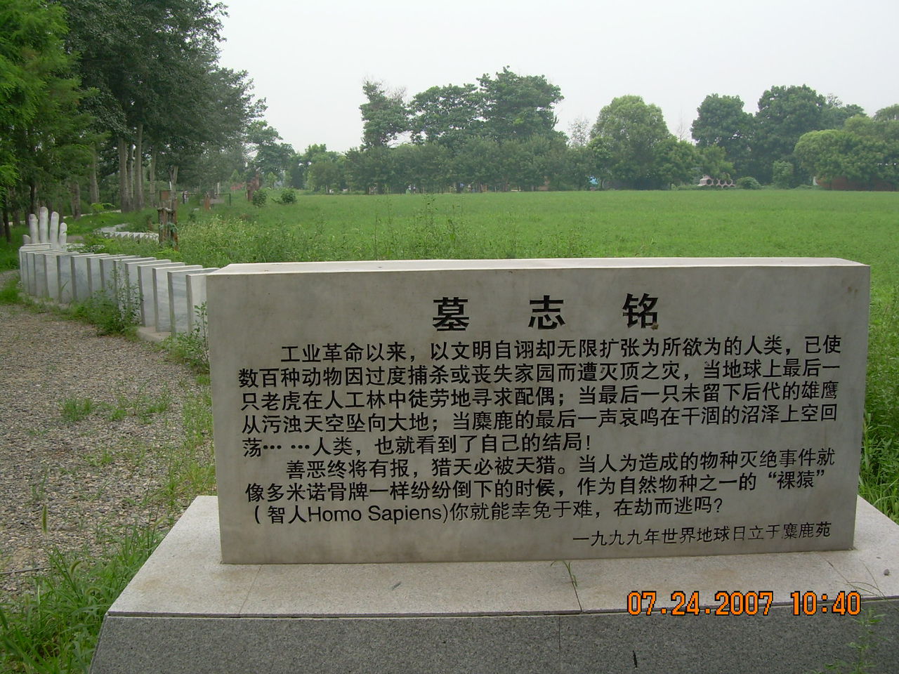 世界灭绝动物墓地 世界灭绝动物墓地
