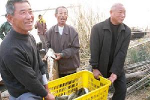 垦利镇 垦利镇
