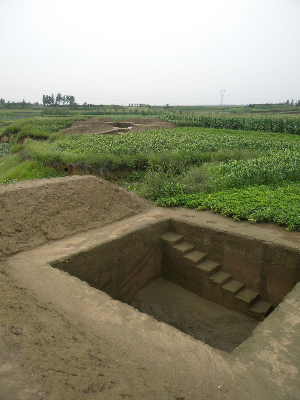 小里村(河北省柏乡县王家庄乡下辖村) 小里村(河北省柏乡县王家庄乡下辖村)