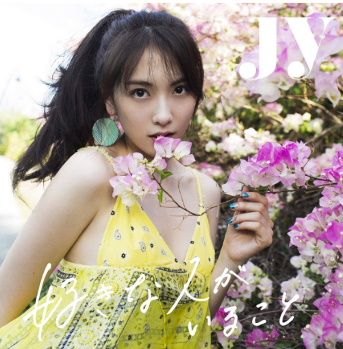 有喜欢的人(日本2016年桐谷美玲主演电视剧)