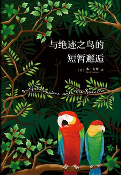 与绝迹之鸟的短暂邂逅 与绝迹之鸟的短暂邂逅