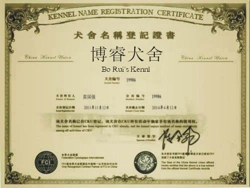 博睿犬舍 博睿犬舍