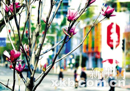 玉堂春