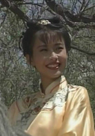 塞外奇侠(1996年新加坡武侠剧《塞外奇侠》)