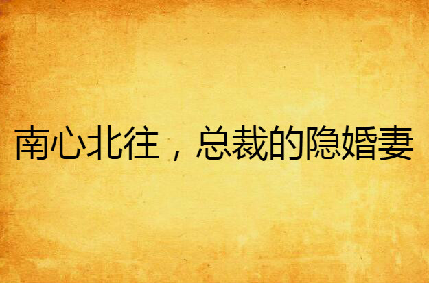 南心北往，总裁的隐婚妻