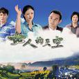女人的天空(2011年张新建执导电视剧) 女人的天空(2011年张新建执导电视剧)