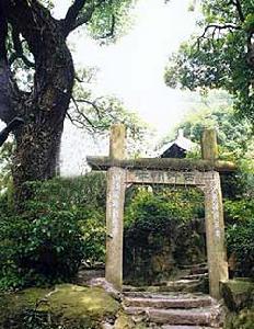 《魂化瑶台夜合花》 《魂化瑶台夜合花》