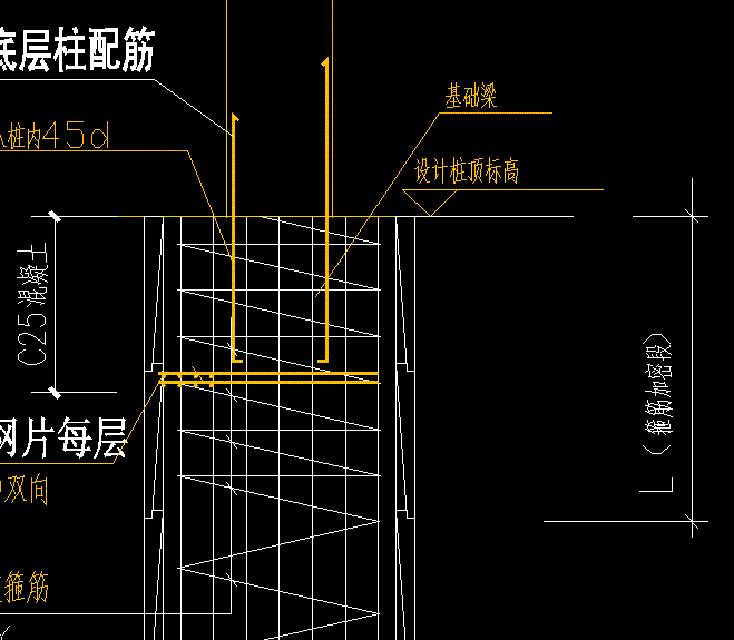 桩顶标高 桩顶标高
