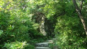 奥陶纪地质公园美景 奥陶纪地质公园美景