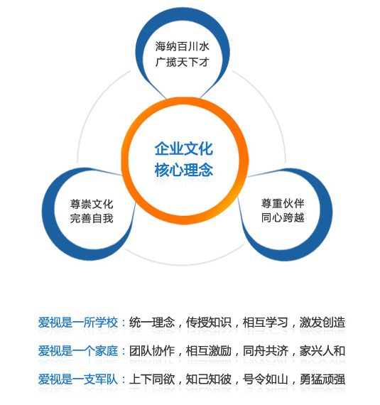 深圳市爱视科技股份有限公司 深圳市爱视科技股份有限公司