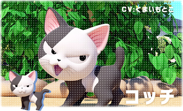 甜甜私房猫