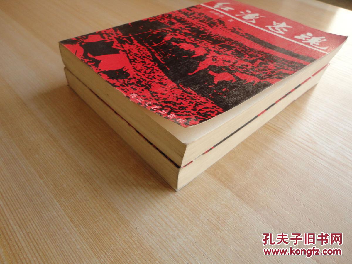 红海忠魂(上下册) 红海忠魂(上下册)
