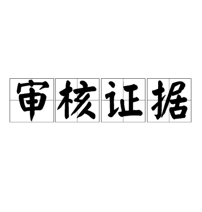 审核证据 审核证据