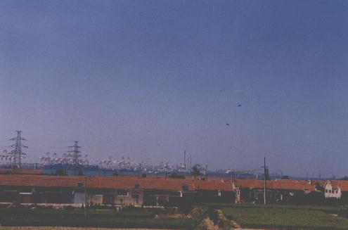 辛鸟村全貌