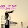 幸运草(丁当演唱歌曲)