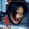 复婚(2010年陈小艺、许亚军主演电视剧)