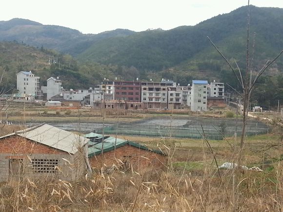 甘棠村(重庆市忠县拔山镇甘棠村)