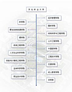 东北林业大学