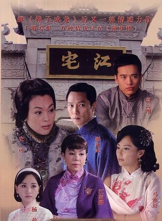 张维娜(张娜（湖北籍女演员）)
