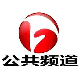 安徽广播电视台公共频道