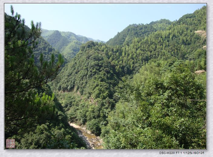 大赤坑流域