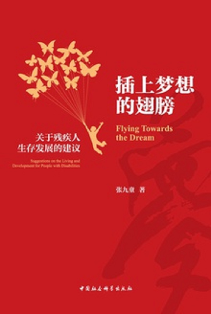 插上梦想的翅膀 插上梦想的翅膀